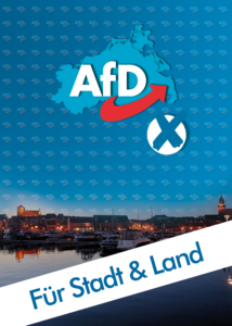 Direktkandidat Thomas de Jesus Fernandes - Wahl MV 2021